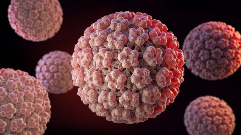 ویروس HPV یا پاپیلومای انسانی